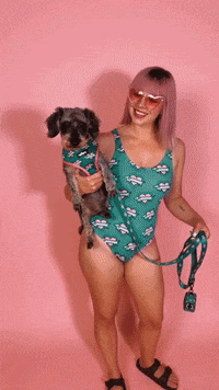 Wiener Dog Dachshund GIF by beangoods