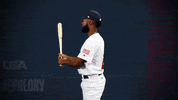 Pro GIF by USA Baseball