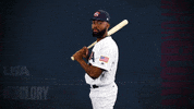 Pro GIF by USA Baseball