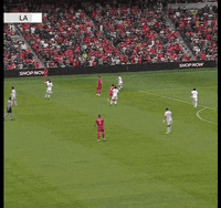 Major League Soccer Sport GIF