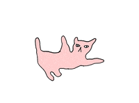 cat morph GIF by Nastia Cistakova