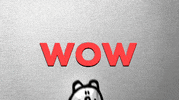 Bear Wow GIF by 福留茜