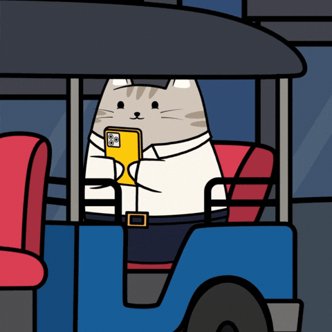 Cat Travel GIF by MESA My Emotional Support Animal