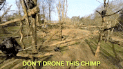 news drones GIF by NowThis 