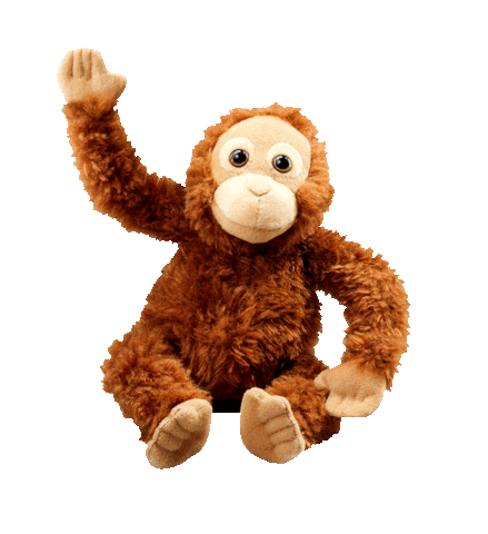 Waving Orangutan