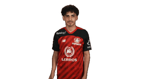 Bayer Leverkusen Esports Sticker by Bundesliga