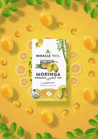 miracletreetea moringa moringa tea miracle tree miracle tree tea GIF