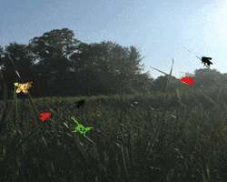 Easter Bunny GIF by brazaaudio