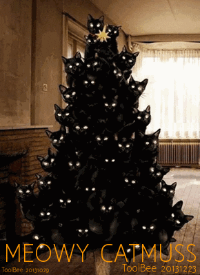 Cat Christmas GIF