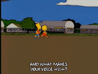 bart simpson GIF