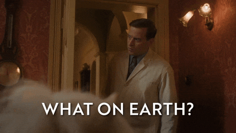 Shocked What On Earth GIF by All Creatures Great And Small