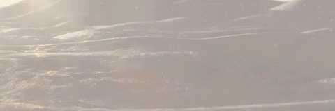 nelsonchan24 giphyupload GIF