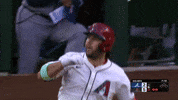 Arizona Diamondbacks Sport GIF by MLB