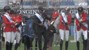 FEI_Global reaction happy sport celebrate GIF