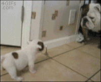 GIF by Demic