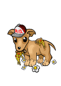 Kmg Begging Sticker