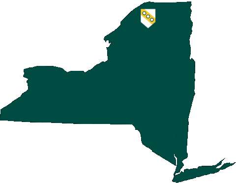 New York State Sticker by Clarkson University