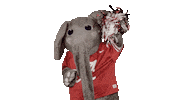 Celebrar Crimson Tide Sticker by The University of Alabama