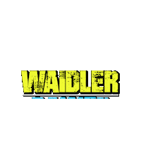 Party Power Sticker by waidlerpower