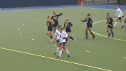 high five michigan field hockey GIF by Michigan Athletics