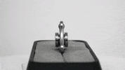 Fidget GIF by Big Poppa E