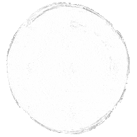 Pastel Circle Sticker