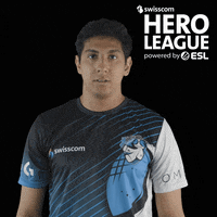 SwisscomHeroLeague reaction facepalm dumb swisscom GIF