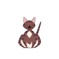 Cat Sticker