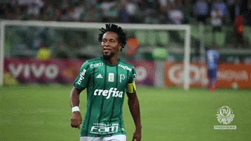 despedida ze roberto GIF by SE Palmeiras