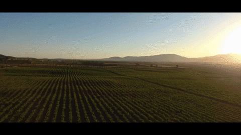 petos21 giphygifmaker valle de guadalupe GIF