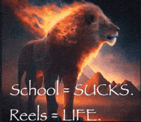 Fire Instagram GIF