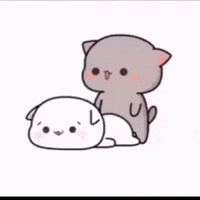 Mikachu GIF
