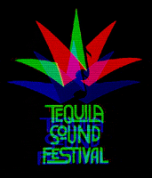 Tequilasoundfestival tsf tequilasound GIF