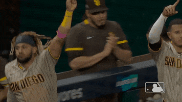 Major League Baseball Sport GIF by MLB