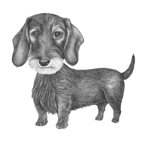 Dog Wagging Sticker by AniCura Nederland