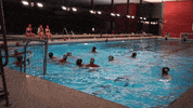 WKTHUN waterpolo water polo thun wasserball GIF