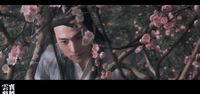 san sheng san shi shi li tao hua GIF