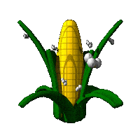 corn STICKER