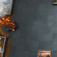 wizardsmagic cat mtg magic the gathering mtg arena GIF