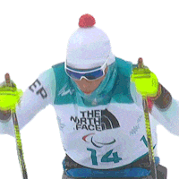 Winter Olympics Sport Sticker by International Paralympic Committee