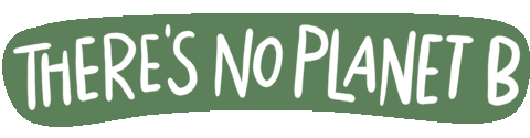 No Planet B World Sticker