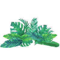 JaverianaCali verde campus naturaleza plantas Sticker