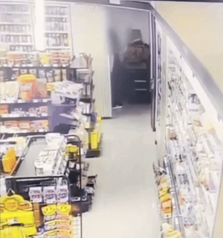 0d0e9c040cdb4b378f8218152e9c7143 giphyupload GIF