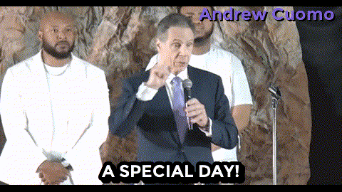 New York Vote GIF by Andrew Cuomo