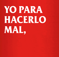 Amstel_ES beer ok perfect cerveza GIF