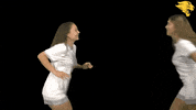 D3Soc Cuc19 GIF by CUCougars