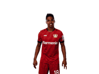 Bayer 04 Peace GIF by Bayer 04 Leverkusen
