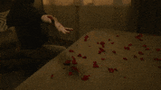 Surprise Love GIF by Show TV
