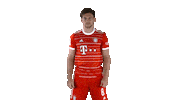 Leon Goretzka Love Sticker by FC Bayern Munich
