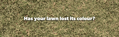 Green Grass Lawn Care GIF by Lawn Solutions Australia